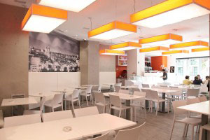 Panel Piedra 320 Cemento Gris
